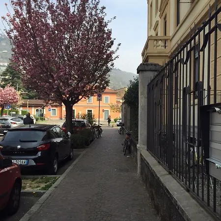 Borghi & *